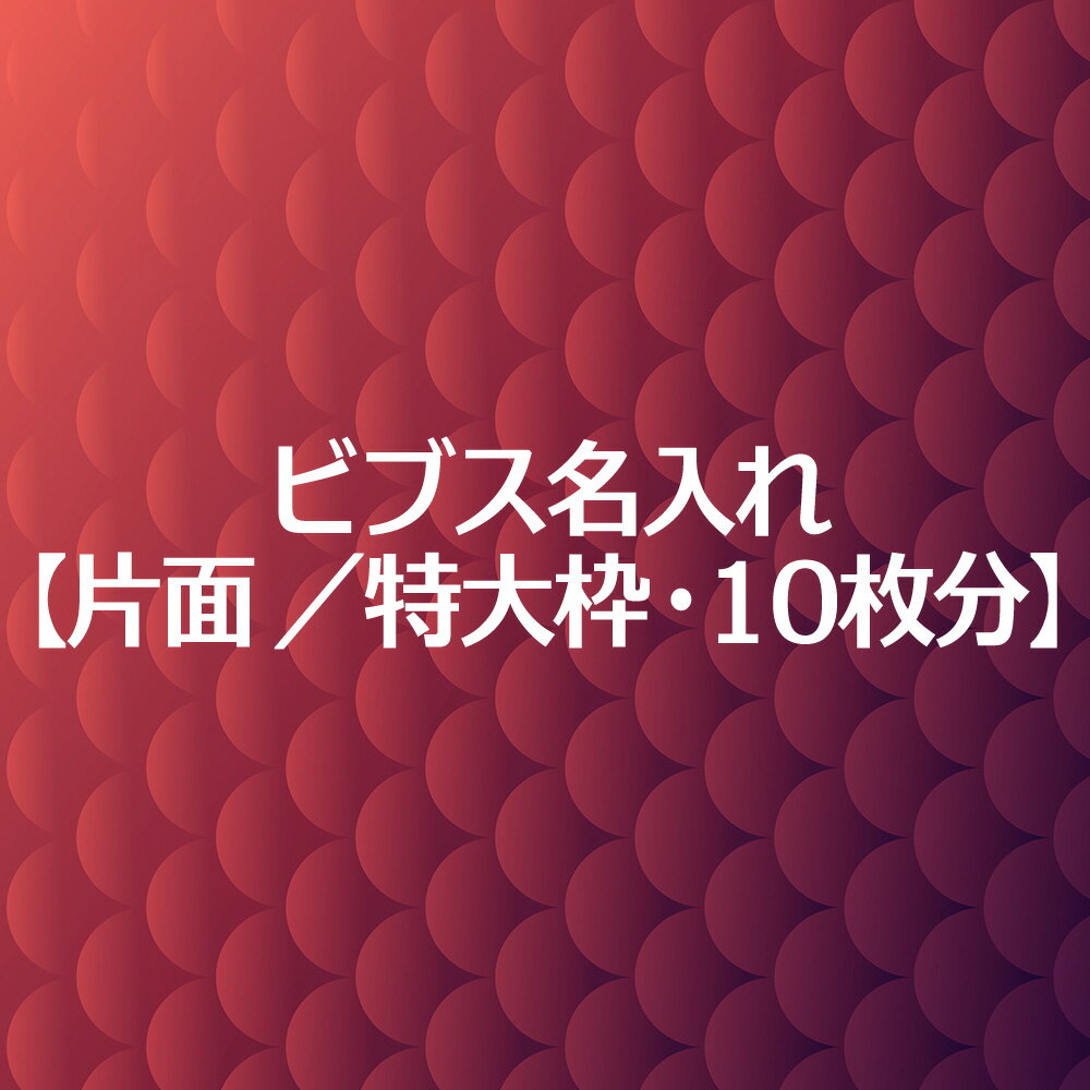 ビブス 名入れ プリント 【 片面 特大枠 10枚分 】 高品質 画像 ロゴ対応 スポーツ チーム名 企業名 団体名 スローガン