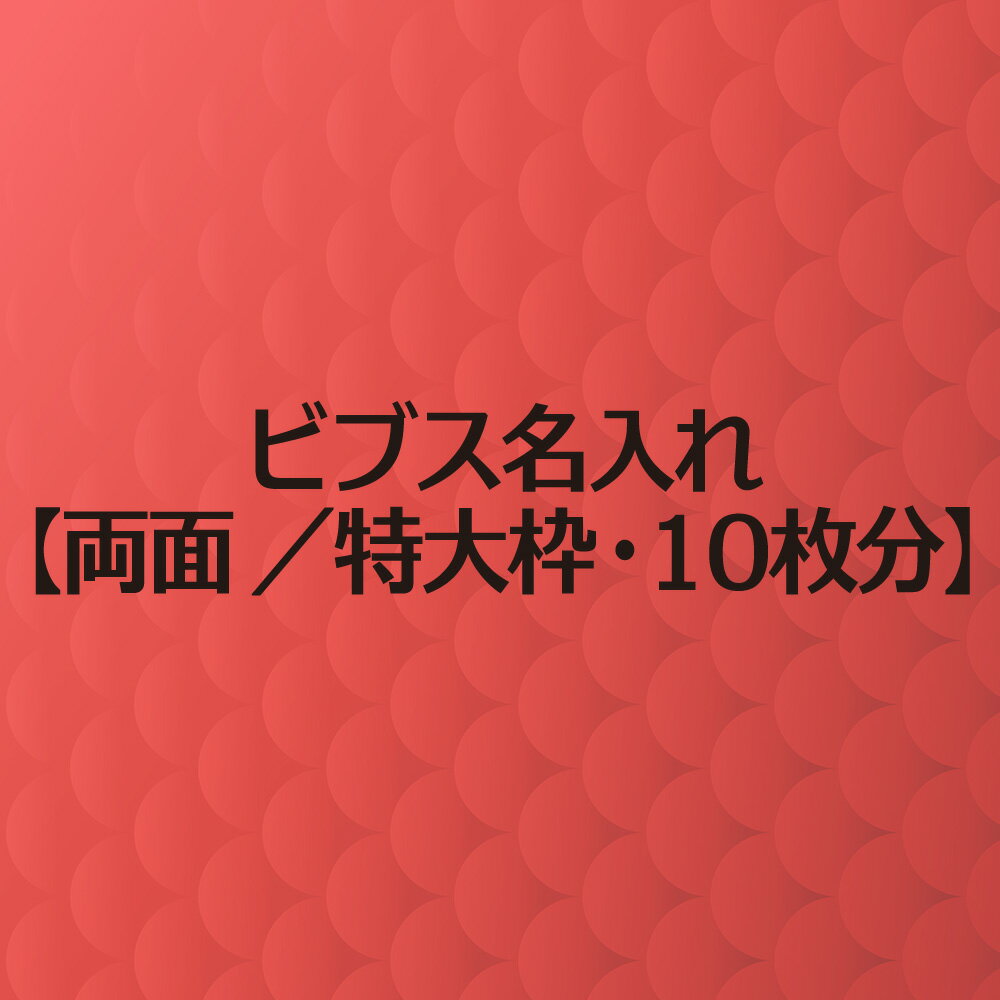 ビブス 名入れ プリント 【 両面 特大枠 10枚分 】 高品質 画像 ロゴ対応 スポーツ チーム名 企業名 団体名 スローガン