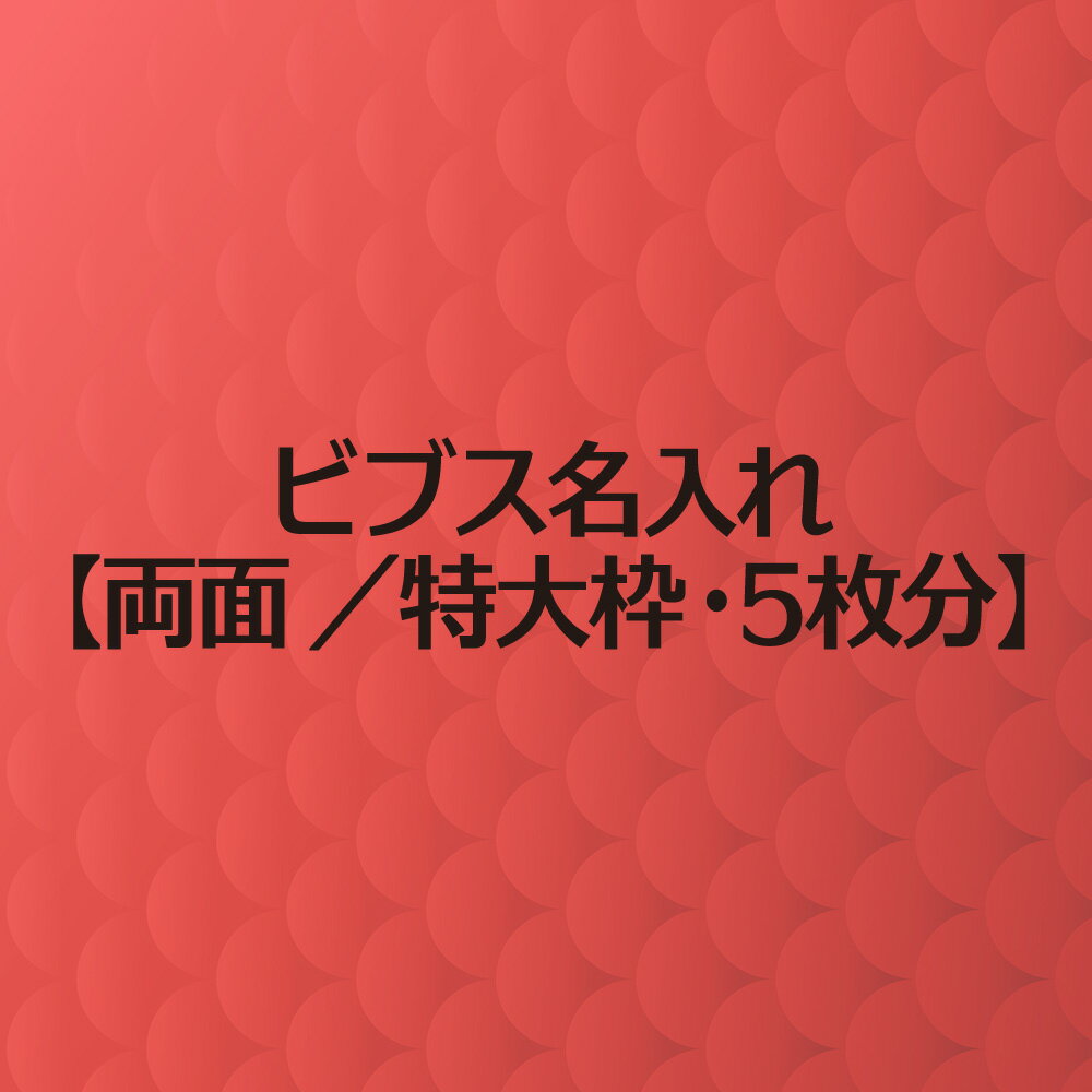 ビブス 名入れ プリント 【 両面 特大枠 5枚分 】 高品質 画像 ロゴ 対応 スポーツ チーム名 企業名 団体名 スローガン