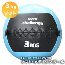 ソフト・メディシンボール《3kg》マニュアル付属 筋トレと体...