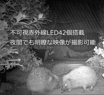 トレイルカメラ　1200万画素 HD動画　CMOSセンサー付きIP54　時差撮影機能 不可視赤外線　HCRD1000