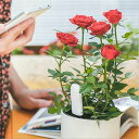 スマホ連動土壌テスター iPhone/Android対応 Appで植物の状態をチェック Flower Care 土壌測定 技術認証マーク取得 透明ケース付き HHCC20G その1