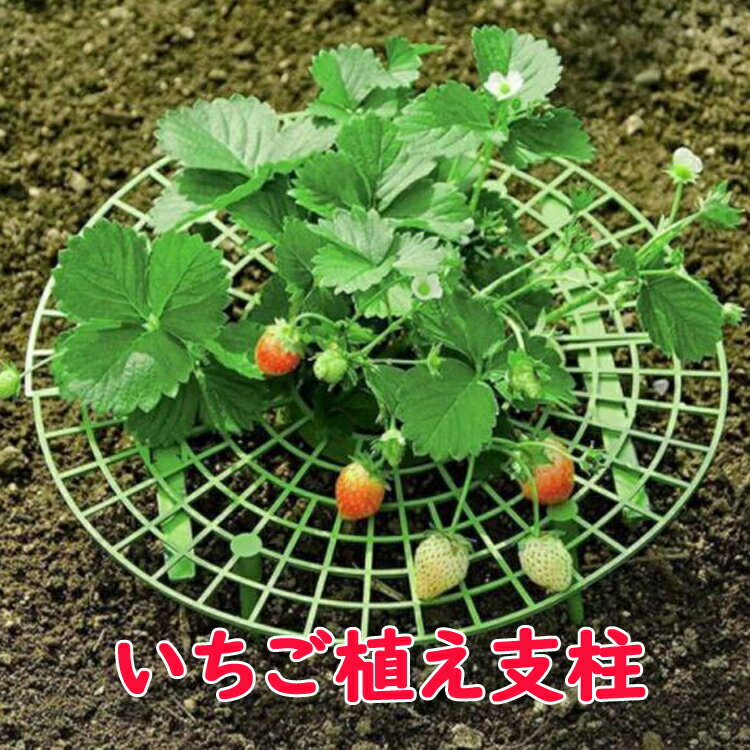 【2個セット】フラワースタンド いちご植え支柱 園芸支柱 野菜スタンド 誘引作業 風通し 自宅いちご栽培 いちご農園にも ITGS3030S2