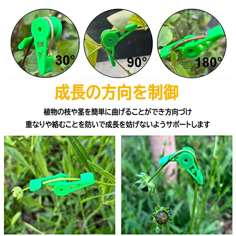 ��10�ĥ��åȡ۷ԥ���å� ����Ĵ����ǽ ��ʪ��Ĺ���ݡ��� ��ʪ�λޤ�Ԥ�ʤ��� Ͷ������å� ����ѥ���å� ������� �����ǥ�ġ��� DPB360S10