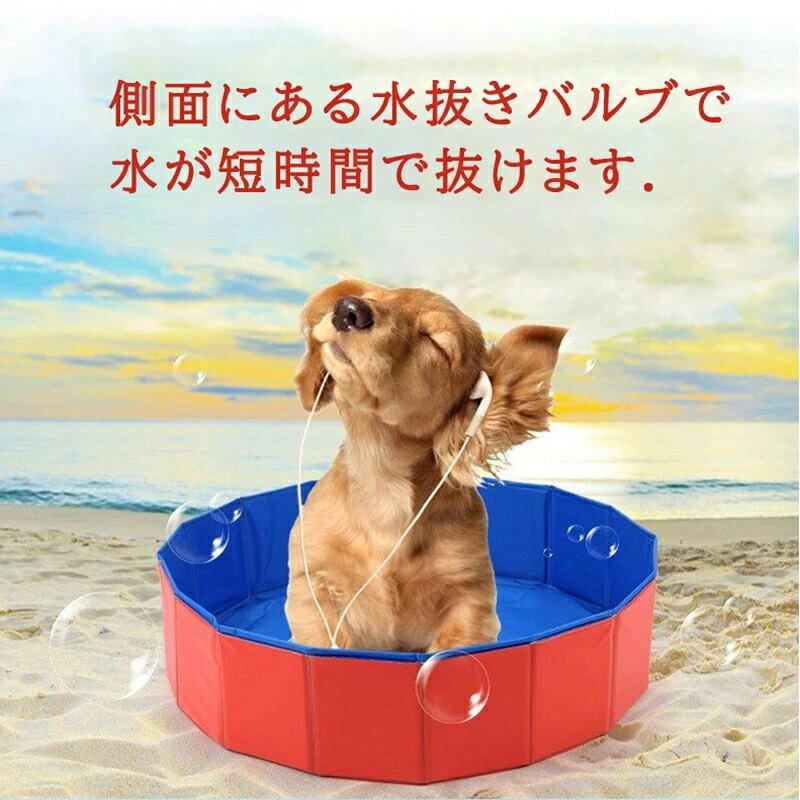 たのかぞくのプール ペット用 ドッグプール 犬猫 お風呂 水遊び おもちゃ 夏 遊び道具 広いスペース 丸いプール 折り畳み式 直径80cm Mサイズ 送料無料｜アングル2