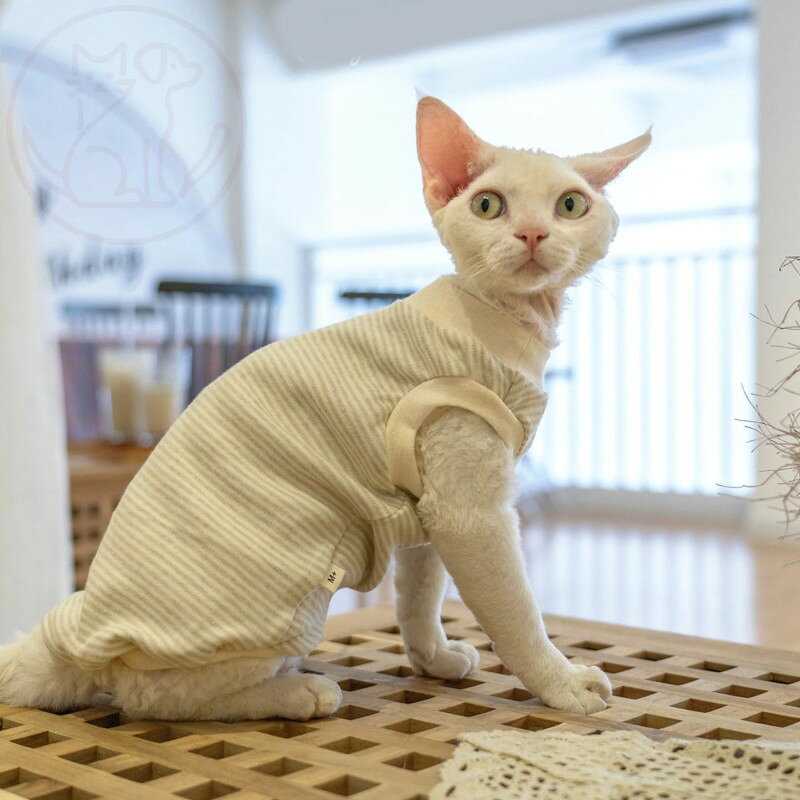 ハロウィン かぼちゃ ペット用品 ペットウェア ペット服 オレンジ リボン 犬 猫 飾り サロン トリマー オススメ パンプキン 帽子 ケープ フリース あったかい 柔らかい 人気 ダックス プードル かわいい 犬の服 秋 冬 プレゼント インスタ パーティ チョーカー SSサイズ 業務用 可愛い コスプレ ウィッグ付き マント ロリータ 貴族 小型犬 ワンピース 洋服 短納期 魔法使い パーティー 女の子 男の子 変身 スパイダー ドッグウェア 夏涼しい 王様 王子様 S M L XL 3点セット カッコイイ おもしろい 仮装 衣装 犬猫 中型犬 大型犬 魔女 変身 おもしろグッズ クリスマス イベント 写真撮影 つなぎ コウモリ パーカー アウター コート XS〜XLサイズ ドッグ服 猫服 変身 耳付き 着ぐるみ 撮影 チュールワンピ お化け 猫用 超絶キュン 首輪 ネクタイ バンダナ ガーランド 誕生日 しつけ首輪 痛くない 猫の首輪 着せ替え 襟かざり 首かざり かぶり物 サンタ デニム 服 デニムスカート 小型犬 中型犬 大型犬 Tシャツ フード付き パーカー 裏起毛 オールシーズン ギフト ハンガー 春 夏 秋 冬 定番 おしゃれ 可愛い 柴犬 お洋服 ペットグッズ かわいい お散歩 お出かけ 室内 防風 保温 お揃い 洗える 暖かい ペットベッド ペットソファ クッション マット 滑り止め もこもこ ふかふか 通気性抜群 寝心地いい 破れにくい 四季通用 軽量 脱着簡単 丈夫 安全