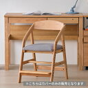 【ポイント10倍！4/1(月)限定】チェアカバー グレー ライトグレー かわいい おしゃれ NICO CHAIR専用 ナチュラル シンプル 幅49 奥行43 高さ47 椅子 チェア 学習椅子 学習チェア カバー ニコ NICO