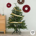 クリスマスツリー 150cm グリーン ツリー 組立 もみの木 インテリア 北欧 Xmas シンプル クリスマス おしゃれ スリム 単品 PE&PVCクリスマスツリー150cmSR
