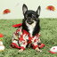 【送料無料】ワンコ　ニャンコ　着物　和服　犬服　猫服　晴れ着　お祝い　ドッグウェア　キャットウェア おうちコーデkrd03
