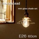 【Homestead】 E26タイプ 60cm mini glass shade ( ミニガラス シェード ) ランプシェードセット アンティーク・仕上げ・灯具 引掛けシーリング付灯具 グラス・照明器具 。。