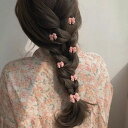 レディース ヘアクリップ ヘアアクセサリー ヘアロープ 鉄 かわいい シンプル お洒落 レトロ ラブリー 華やか クリア 個性的 フェミニン 休日感 お茶目 ユニーク 送料無料 普段使い