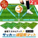 【楽天SS P2倍】 【楽天ランキング1位】 サッカーマット サッカー練習用マット トレーニングマット 90x60cm 自宅 室内 部活 サッカー フットサル ドリブル 練習 自主練習 屋内サッカー マット 滑り止め カーペット サッカーボール 子供 大人 初心者 プレゼント 送料無料