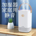 新品 加湿器 家庭用 静音 赤ちゃん オフィス 大容量 大きい口 3L 北欧風 手持ち ダブルスプレー usb ホーム 空気加湿 プレゼント 雰囲気 夜灯 3段(2)