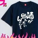 おもしろtシャツ 面白 プレゼント Tシャツ グッズ ( 酒と禿シリーズ 酒が飲みたいんだなぁ ) 酒 ビール お酒 ジョーク 日本語 ふざけ 名言 迷言 チー...