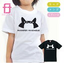 NyanderNyamour おもしろ Tシャツ ( ニャンダーニャーマー ) 雑貨 メンズ トイレ ベッド ケージ おもちゃ 砂