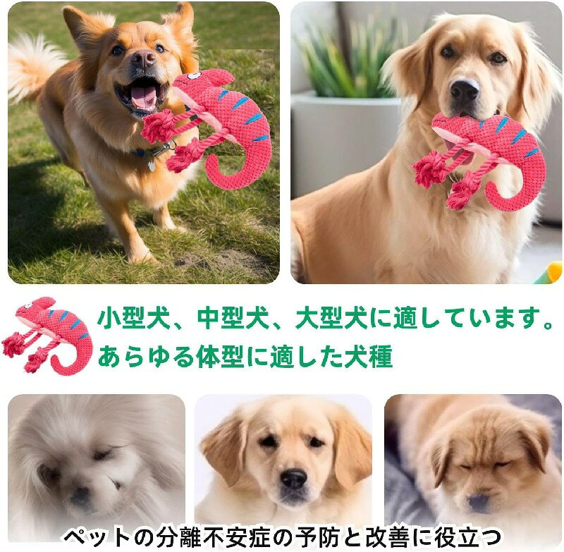 サンプル画像3