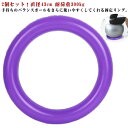 サポート 体幹ヨガボール 耐荷重300kg 2個セット 2個セット 位置決め 滑り止め 直径43cm 台座リング バランスディスク 体幹トレーニング バランスボ...
