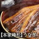 【産地直送】佐賀県鹿島【本家】峰松うなぎ屋「 うなぎの蒲焼 (1尾入り)」日本テレビ「遠くへ行きたい」、朝日放送「朝だ!生です旅サラダ」で紹介されました。 国産...