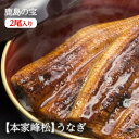 【産地直送】佐賀県鹿島【本家】峰松うなぎ屋「 うなぎの蒲焼 (2尾入り)」日本テレビ「遠くへ行きたい」、朝日放送「朝だ!生です旅サラダ」で紹介されました。 国産...