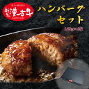 新生漢方牛 100%ハンバーグステーキセット 健康 牛肉 ステーキ 焼肉 すき焼き ご当地 産地直送 送料無料 贈り物 贈答品 ギフト