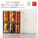  宮ぴくるす 6個 ピクルス （ いろいろ野菜 しいたけ プチトマト かんぴょうと根菜 うずらの卵 大豆 ） 100％もろみ酢 栃木産 無添加 保存料不使用 賞味期限 ご当地グルメ ギフトセット 送料無料 父の日 お中元