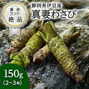 ■ 商品名 本わさび ■ 産地 静岡県産 ■ 内容量 約150g ■ 保存方法 冷蔵庫で保管し、なるべくお早めにお召し上がりください。