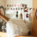 【9月11日まで!1,000円OFF!SALE】OMOHU 掃除 小物 オーストリッチ ほうき 掃除道具 アイテム ドール ミニチュア 仏壇 観葉植物