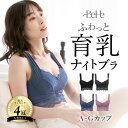 ＼5%OFFクーポン／ ナイトブラ 育乳ブラ ノンワイヤー 小胸 育乳 ブラジャー 大きいサイズ ノ ...