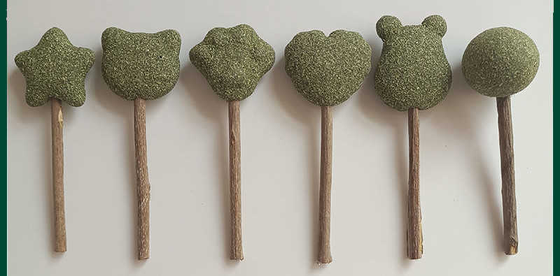 猫用おもちゃ ボール 天然木 マタタビ 自然素材 猫のおもちゃ キャット 猫 猫用品 玩具