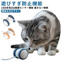 猫 おもちゃ ねずみ 自動 ウィキッド マウス 電動ネズミの猫用おもちゃ 自動で動くおもちゃ 猫ちゃんのイタズラ友だち ロボットネズミ 自動走行 マウス玩具 かわいい ペット玩具 猫遊び 猫ダイエット 可愛い 送料無料(4)