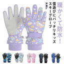 スキーグローブ キッズ ジュニア 5本指手袋 キッズスキー手袋 子供 雪遊び アイススケート 防寒手袋 男の子 女の子 かわいい 裏起毛 防水 防風 紛失防止 ...