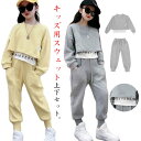子供ジャージ キッズ 子供服 女の子 ジャージ 2点セット 春服 長袖 トレーナー スウェットパンツ 上下セット 男の子 セットアップ トップス レイヤード風 ...