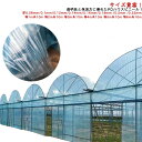 農業用ビニールシート透明 農業用ビニール ビニールハウス シート 家庭用 長さ10m 屋根ビニール 農業用ハウス 農ビ 農PO 農園 園芸用 ハウスビニール 家...