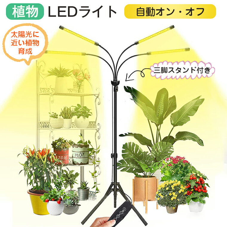 【58％OFF★500円割引 4ヘッド付】植物育成ライト LED スタンド 三脚 タイマー 植物育成LED usb 観葉植物育成ライト 多肉植物育成 ソーラー led 植物育成ライト フルスペクトル 10階段調光80LEDランプ 太陽光 室内栽培ライト 水耕栽培ランプ 光補足 日照不足解消