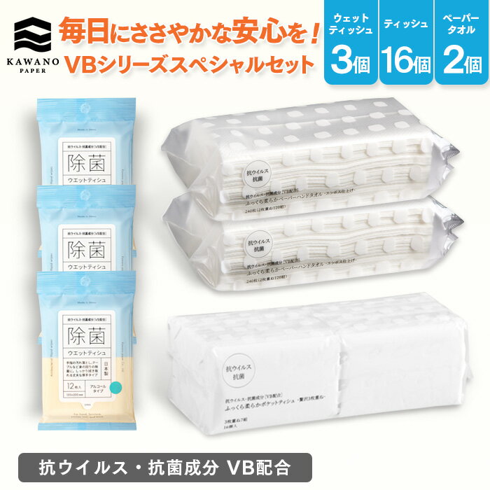 ＼抗ウイルス・抗菌成分 VB配合／河野製紙 VBシリーズ スペシャルセット［3個+16個+2個］【ペーパータオル ウェットティッシュ シート 除菌 抗 ウイルス 抗菌 まとめ買い 箱買い アルコール 防災 アウトドア ギフト 誕生日プレゼント】