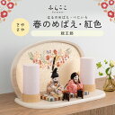 【公式】さやさや 春のめばえ・紅色 ふらここ 雛人形 木目込み 親王飾り 二人飾り ひな祭り 雛祭り ひな人形 初節句 桃の節句 コンパクト 小さい おしゃれ ...