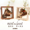 送料無料 ギフト 「Nest&Leest」-ネスト&リースト- ドライフラワー  プレゼント ナチュラル フレームプリザ