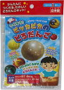 日本パール つくろう ピッカピカのどろだんごキット (だんご用土約50g、ピカピカパウダー約12g、説明書1枚)