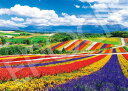 エポック社 2000スーパースモールピース ジグソーパズル 日本風景 虹色の四季彩の丘-北海道 (38×53cm) 54-240 のり付き ヘラ付き 点数券付き EPOCH