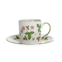 ウェッジウッド(Wedgwood) ワイルド・ストロベリー コーヒーカップ&ソーサー キャン【並行輸入品】 50105504019/02019