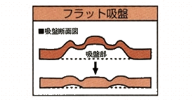 すべり止めマット(フラット吸盤型) 60X40...の紹介画像3