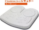 車椅子用クッション/アウルREHA　レギュラー（汎用）OWL21-BK1-4040 車いす用クッション 薄さ4cmのフラットなスタンダードタイプ。効果的な体圧分散【送料無料】【楽ギフ_包装】 介護 福祉 サービス 高齢 者 デイ サービス シニア