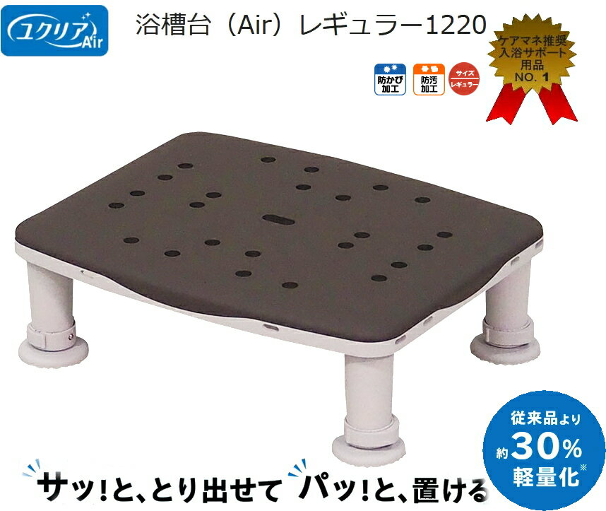 ѥʥ˥å  楯ꥢAir 쥮顼1220 PN-L11220BR ⥫֥饦37.5x30cmȳǷ1.7kg ɥ...