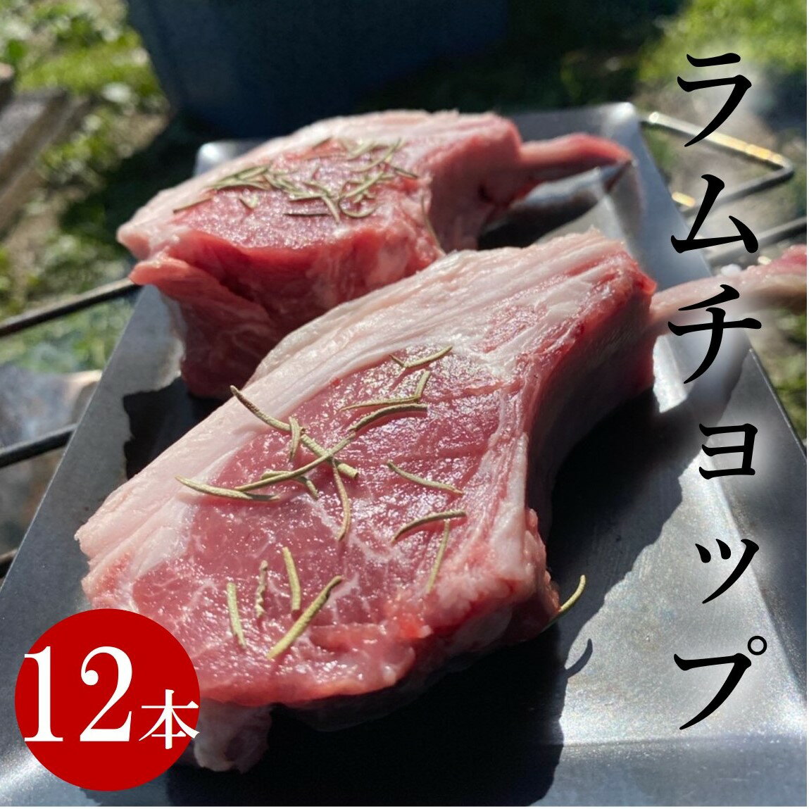 12本 600g ラムチョップ ラム肉 肉 子