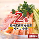【送料無料】500円ポッキリ 紀州産南高梅 使用 冷やし中華セット 2食 お買い物マラソン ポイント消化 麺 セット 500円ぽっきり 送料無料 冷麺 スープ ...