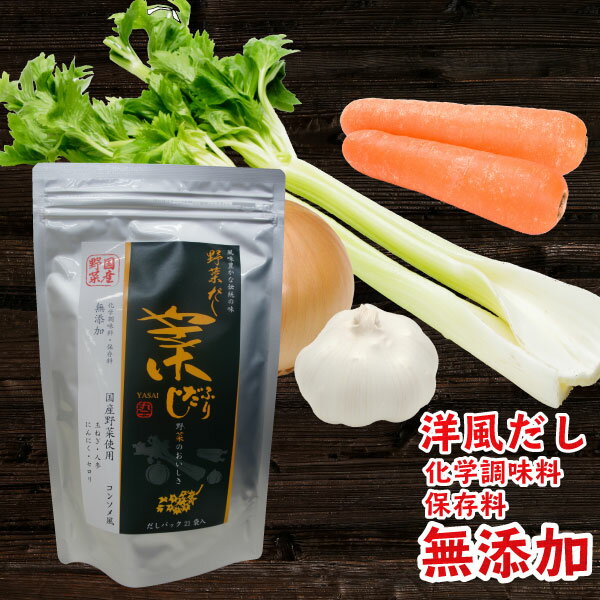 だし 菜ふりだし 洋風だしパック 無添加 国産野菜使用 6g×21食 | 粉末 出汁パック つゆ だしぱっく 洋風だし 野菜だし だしバッグ 万能だし 簡単 手軽 時短 食品 だしの素 出 鍋 国産原料使用 ポトフ ロールキャベツ スープ ハンバーグ ピラフ パスタ 炒飯 調味料 コンソメ