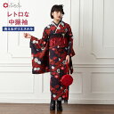 小紋単品「 【 二尺袖 】 TIME SLIP 」公式 ふりふ 大正ロマン 和柄 中振り 中振袖 振袖 着物 レトロ 和 モダン 洗える着物 袷 フリー アンテ...