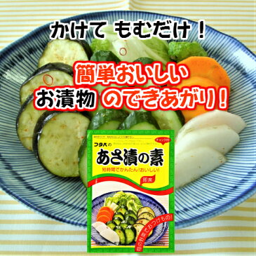 【あさ漬の素 40gx10袋 送料無料】簡単 かんたん 漬物の素 混ぜるだけ 野菜 たくさん 便利 時短 自家製 つけもの 子供 きゅうり 大根 にんじん 白菜 なす きゃべつ キャベツ