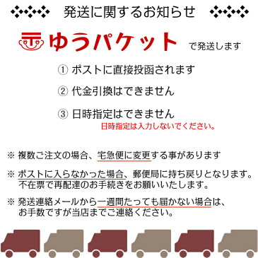 【あさ漬の素 40gx10袋 送料無料】簡単 かんたん 漬物の素 混ぜるだけ 野菜 たくさん 便利 時短 自家製 つけもの 子供 きゅうり 大根 にんじん 白菜 なす きゃべつ キャベツ