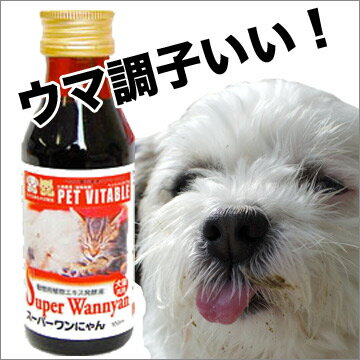 大高酵素 スーパーワンにゃん 100mlx2本 【初回限定　送料無料】犬用・猫用・ペット用　酵素サプリ 腸内環境改善のサプリメント 便秘や下痢改善に 皮膚炎 アレルギー 高齢犬やシニア犬、シニア猫に